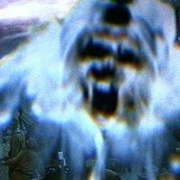 Mike Peacock Photo 21