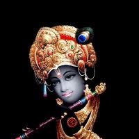 Pankaj Saxena Photo 8