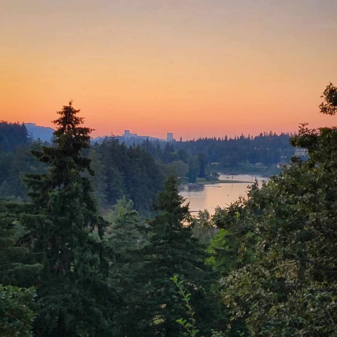 Jason Thompson Photo 10