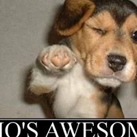 Julia Bradley Photo 13