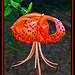 Hue Ly Photo 24
