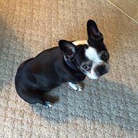 Darlene Hogue Photo 6