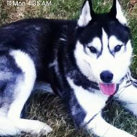 Virginia Fitzgerald Photo 33