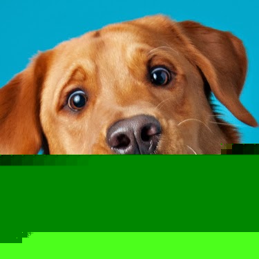 Connie Groah Photo 3