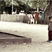 Jose Febres Photo 33