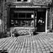 Justin Howarth Photo 21