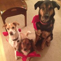 Meg Hamilton Photo 13