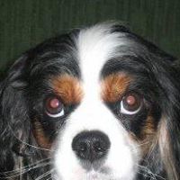 Mary Breeden Photo 8