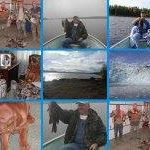 Gerald Shipp Photo 2