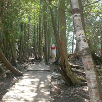 Chris Clifford Photo 25 Chris Clifford Photo 25