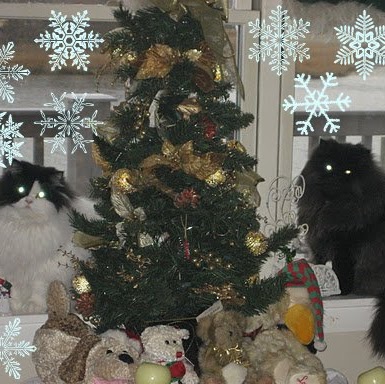 Cathleen Price Photo 12
