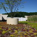 Geraldine Green Photo 38