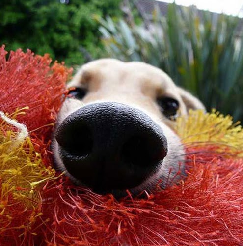 Kathy Garner Photo 32