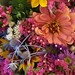 Janice Sheehan Photo 10