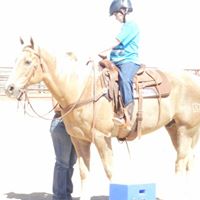 Cindy Newman Photo 24