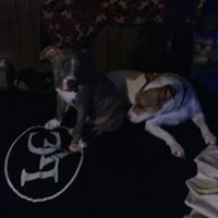 Cheryl Knotts Photo 30