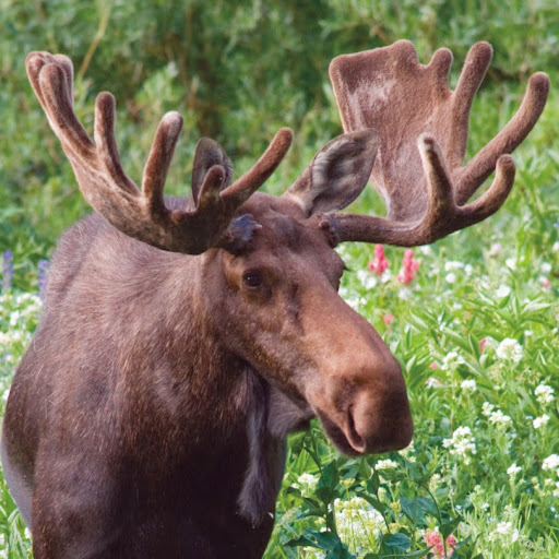 Heather Baird Photo 46