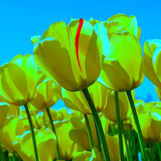 Karla Martin Photo 27