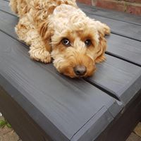 Michelle Flack Photo 25