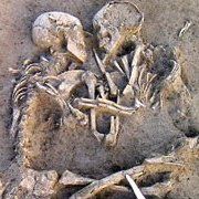 Christine Palumbo Photo 18