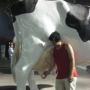 John Hoang Photo 11