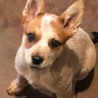 Brandy Robbins Photo 35