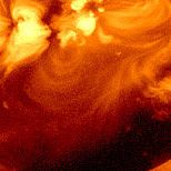 Janice Tripp Photo 17