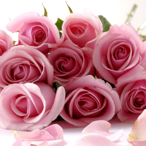 Yvonne Wang Photo 26