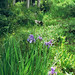 Mary Farley Photo 26