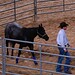 Clinton Anderson Photo 31
