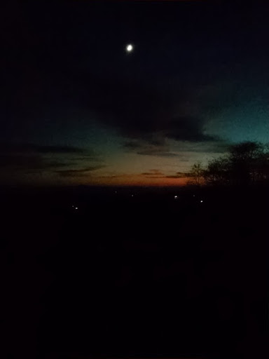 Victoria Johnson Photo 52