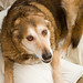 Eddie Chandler Photo 11