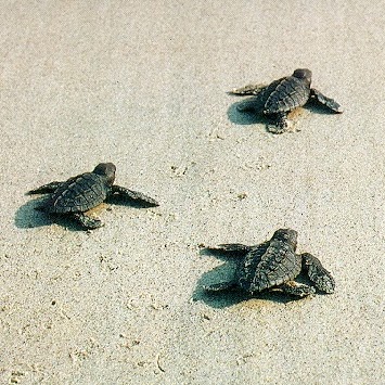 Tracy Salisbury Photo 1