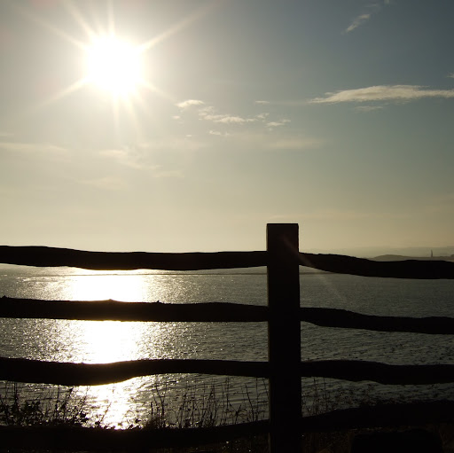 Denise Harper Photo 11