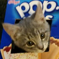 Janet Hamby Photo 17