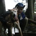 David Jolly Photo 20