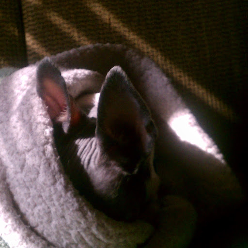 Renee Garner Photo 13