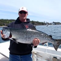 Steve Stout Photo 25 Steve Stout Photo 25