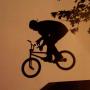 Carl Morris Photo 28