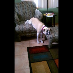 Tammy Stevens Photo 21