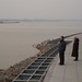 Bing Jiang Photo 13
