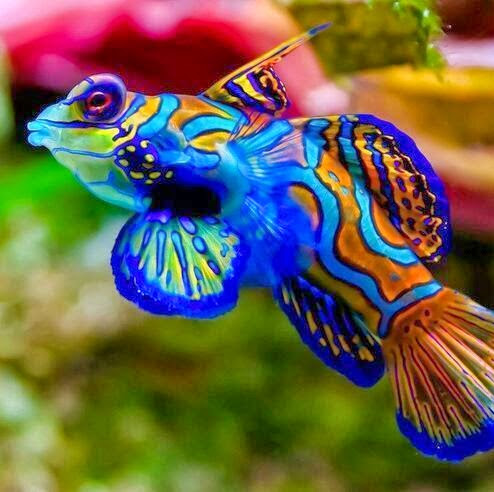 Ryan Cartwright Photo 36