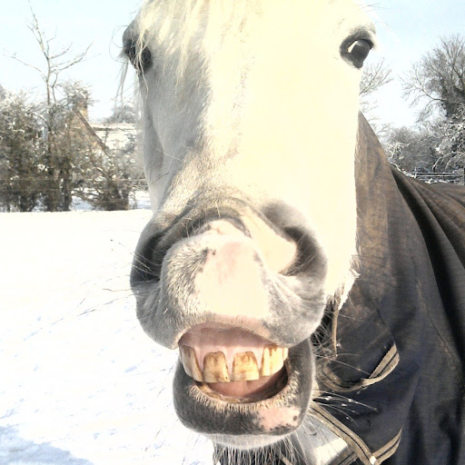Beth Howlett Photo 12