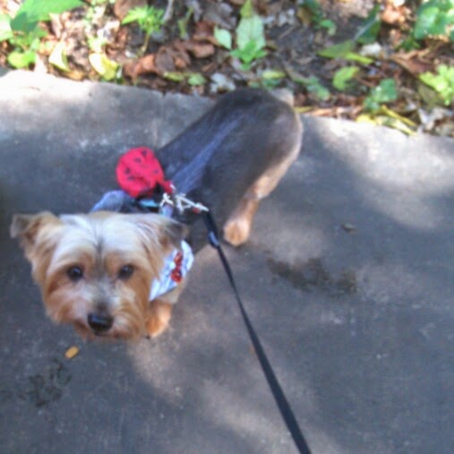 Patricia Mcmillan Photo 12