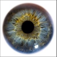 Gerald Ellis Photo 16