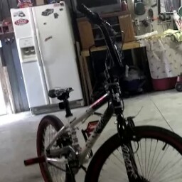 Kelly Braden Photo 29 Kelly Braden Photo 29