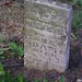 Adam Rees Photo 35