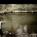 Deborah Trout Photo 11