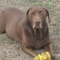 Brenda Hudgins Photo 8