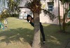 Thi Nguyen Photo 9